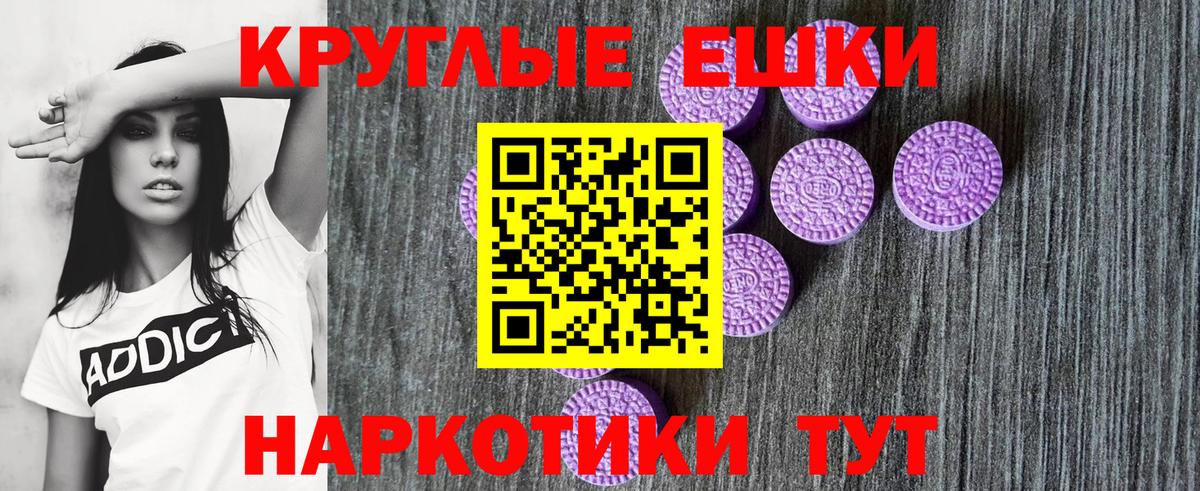 Ecstasy Philipp Plein Новочеркасск