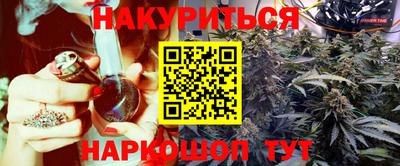 гидра Будённовск