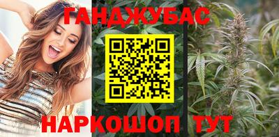 гидра Будённовск