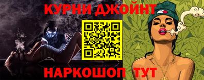 гидра Будённовск