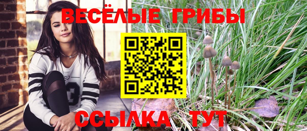 Галлюциногенные грибы GOLDEN TEACHER  Вход с VPN  сколько стоит  Новочеркасск  Галлюциногенные грибы Psilocybe 